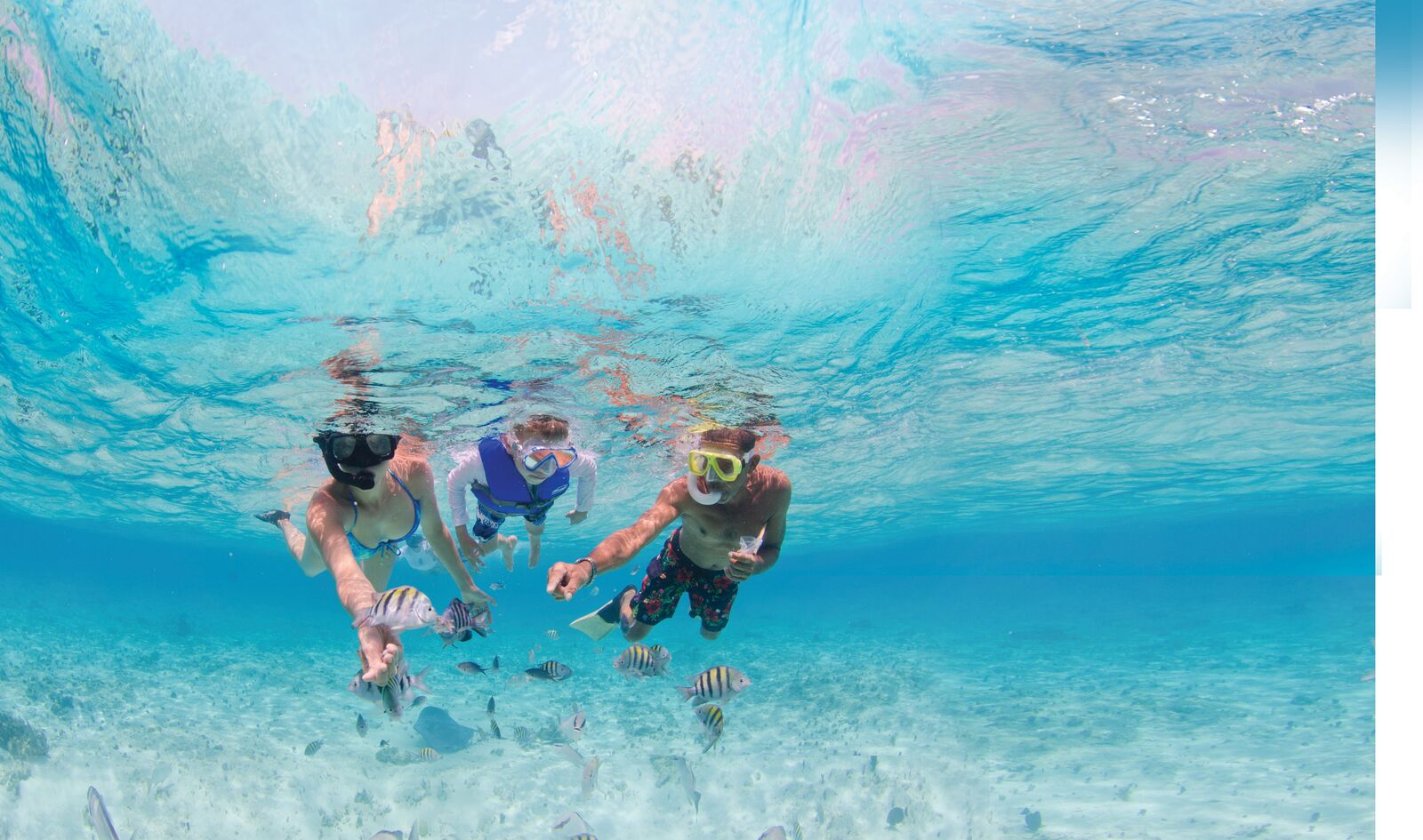 Large-Snorkelling-Family