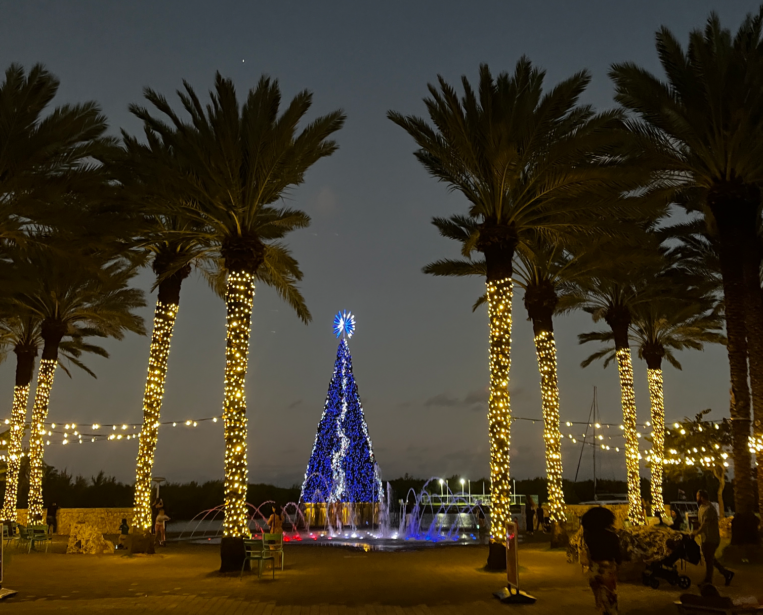 Christmas Tree Lighting Ceremonies