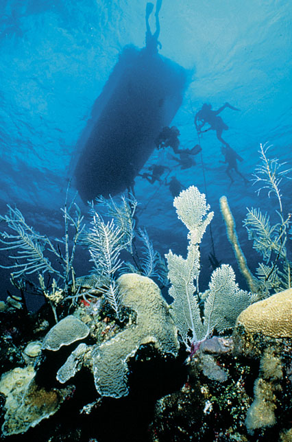 dive boat in cayman