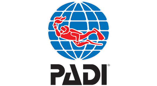 ASSOCIATION OF DIVING INSTRUCTORS (PADI)<br />2018 Early Pioneer