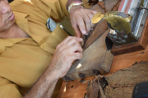 Cuban cigars