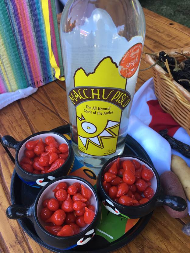 Macchu Pisco Cayman Cookout