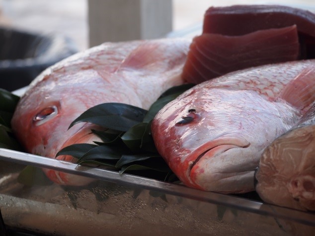 Cayman Islands fresh fish