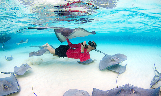 Stingraycity_article_670xany_4