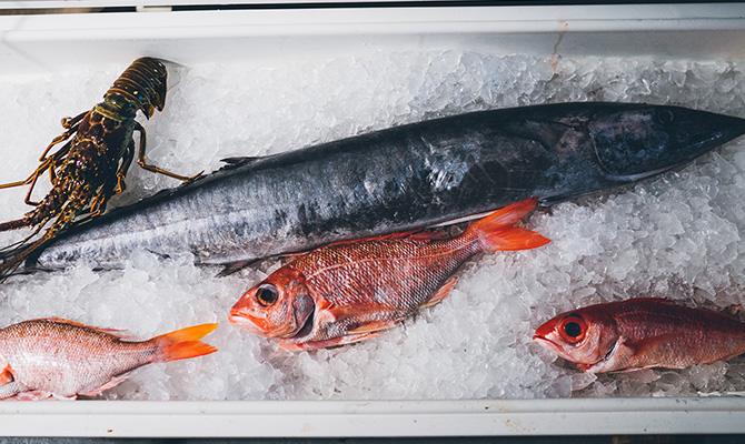 tastebuds_article_670xANY_5