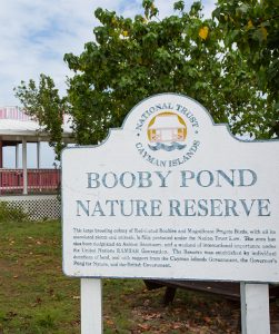 Booby Pond Nature Reserve