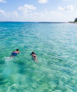 Cayman Snorkelling