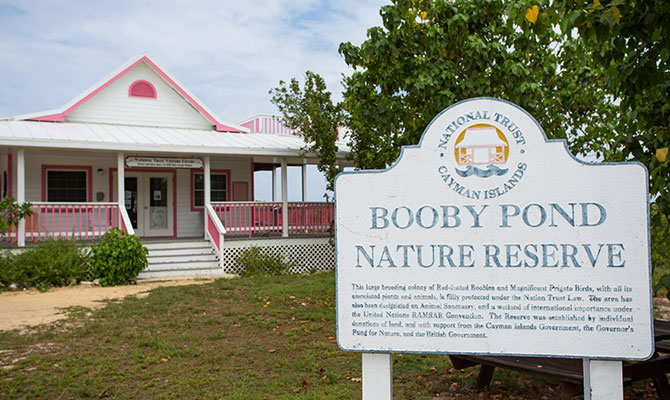 boobie_article_2