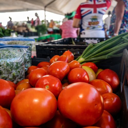 57th Annual Agriculture Show