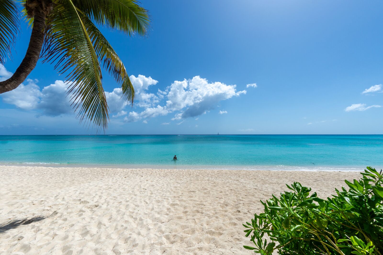 Large-GCM_SevenMileBeach_2024-01