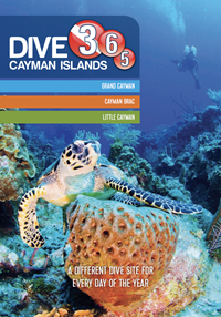 DIVE GUIDE DIVE GUIDE