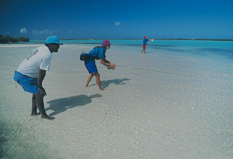 Cayman Billfish Rundown