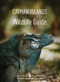 WILDLIFE Guide