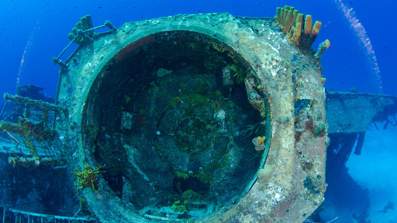 Protect the Seas