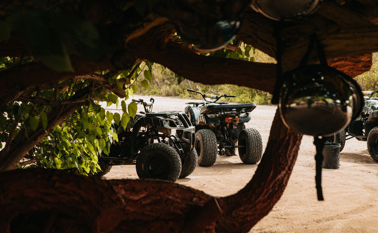ATVs in the Cayman Islands