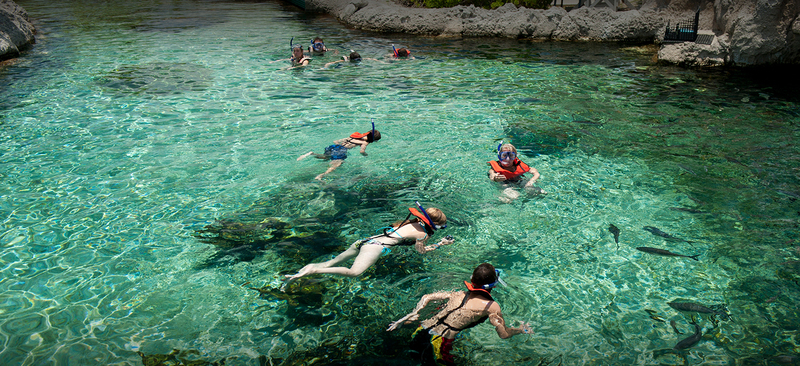 Snorkelling