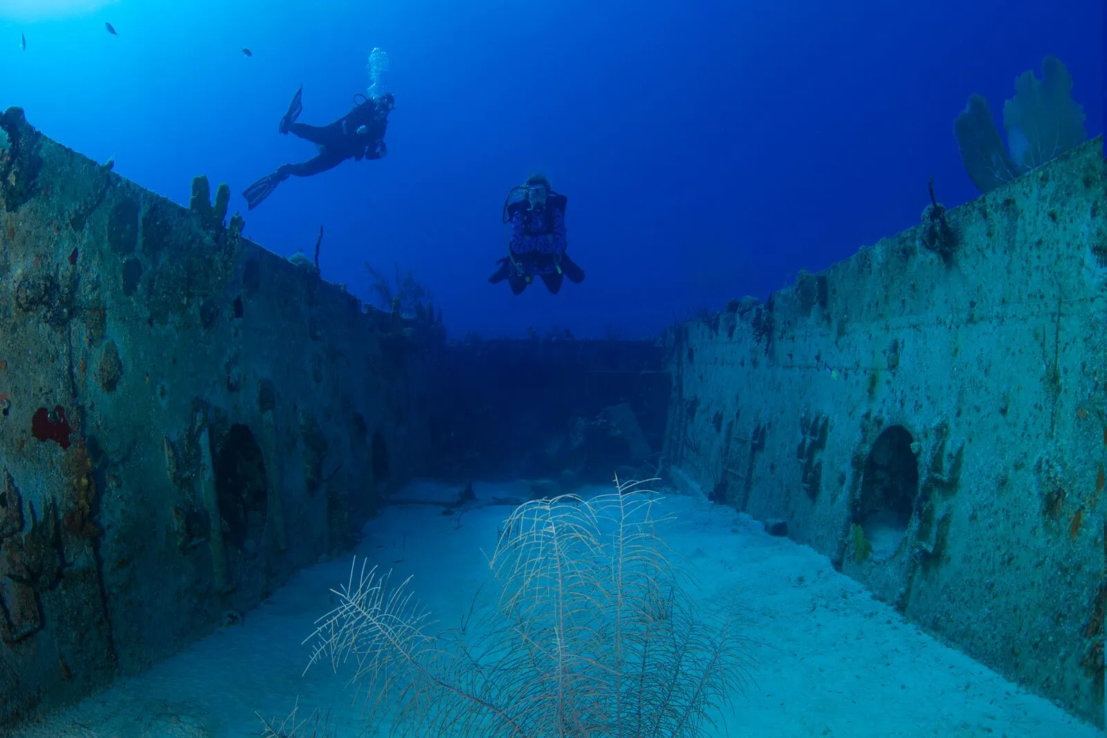 Large-Two-Divers-at-the-Ex-USS-Kittiwake-Shipwreck.jpg Large-Two-Divers-at-the-Ex-USS-Kittiwake-Shipwreck.jpg