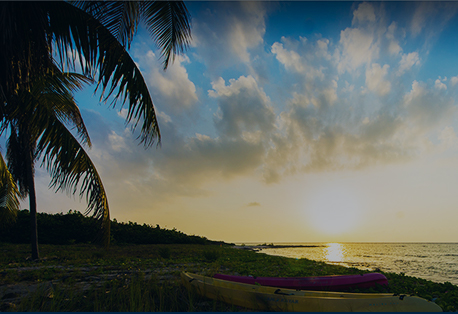 Visit Little Cayman | Plan Your Dream Vacay