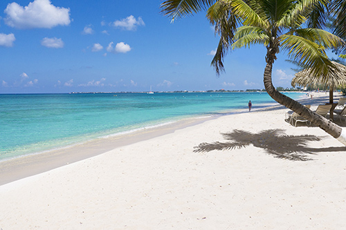 Beaches