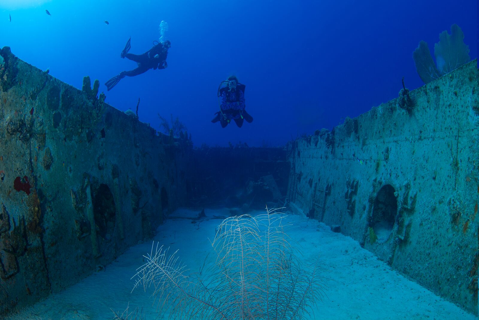 Large-Two-Divers-at-the-Ex-USS-Kittiwake-Shipwreck.jpg