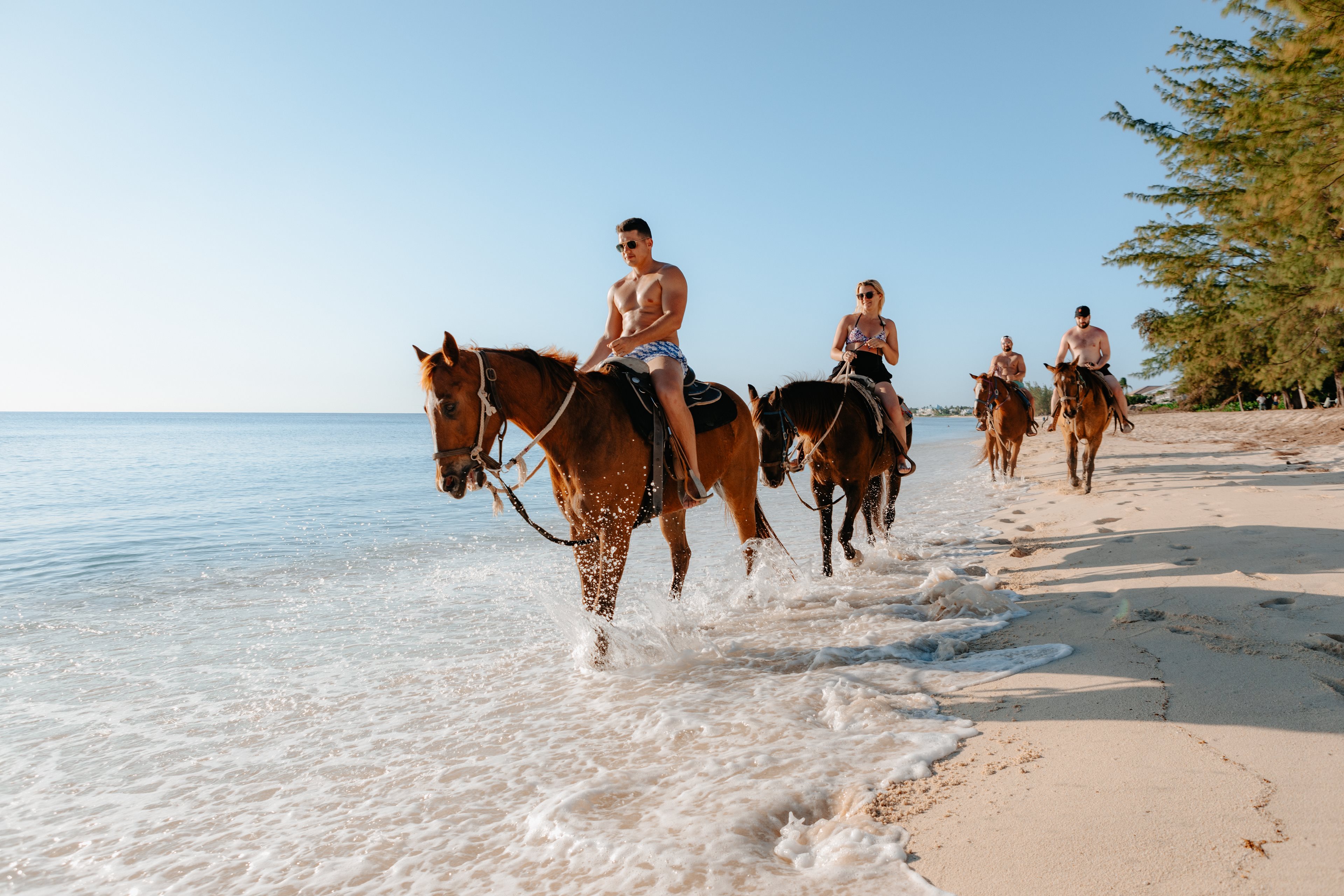 Grand Cayman Horses